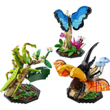 LEGO® Ideas The Insect Collection LEGO® Ideas The Insect Collection