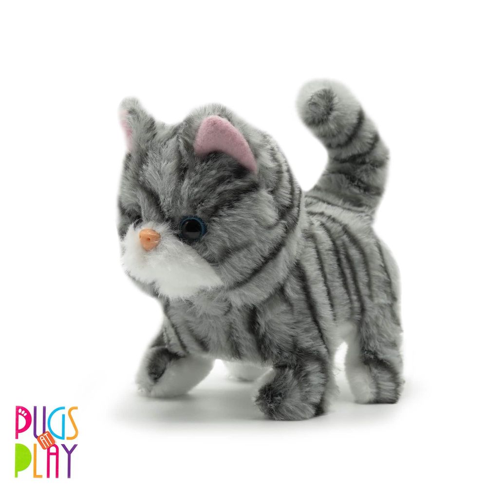 Pugs at Play - Zoe Walking Cat Pugs at Play - Zoe Walking Cat