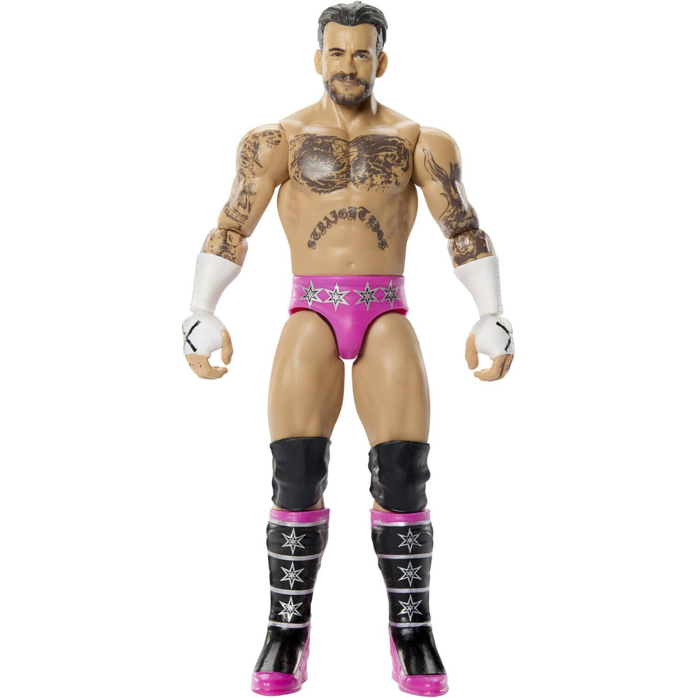 WWE Core CM Punk