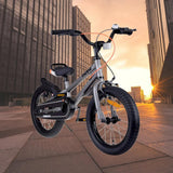 ROYAL BABY 7TH GEN FREESTYLE 14IN SILVER