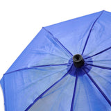 Plum Water Park Umbrella Fountain (D)