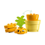Lego Duplo 10981 Growing Carrot