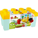 6426529 10984 ORGANIC GARDEN