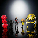 WWE Role Play & Figure Assorted