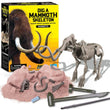 4M KidzLabs  Dig A Dinosaur Skeleton Mammoth