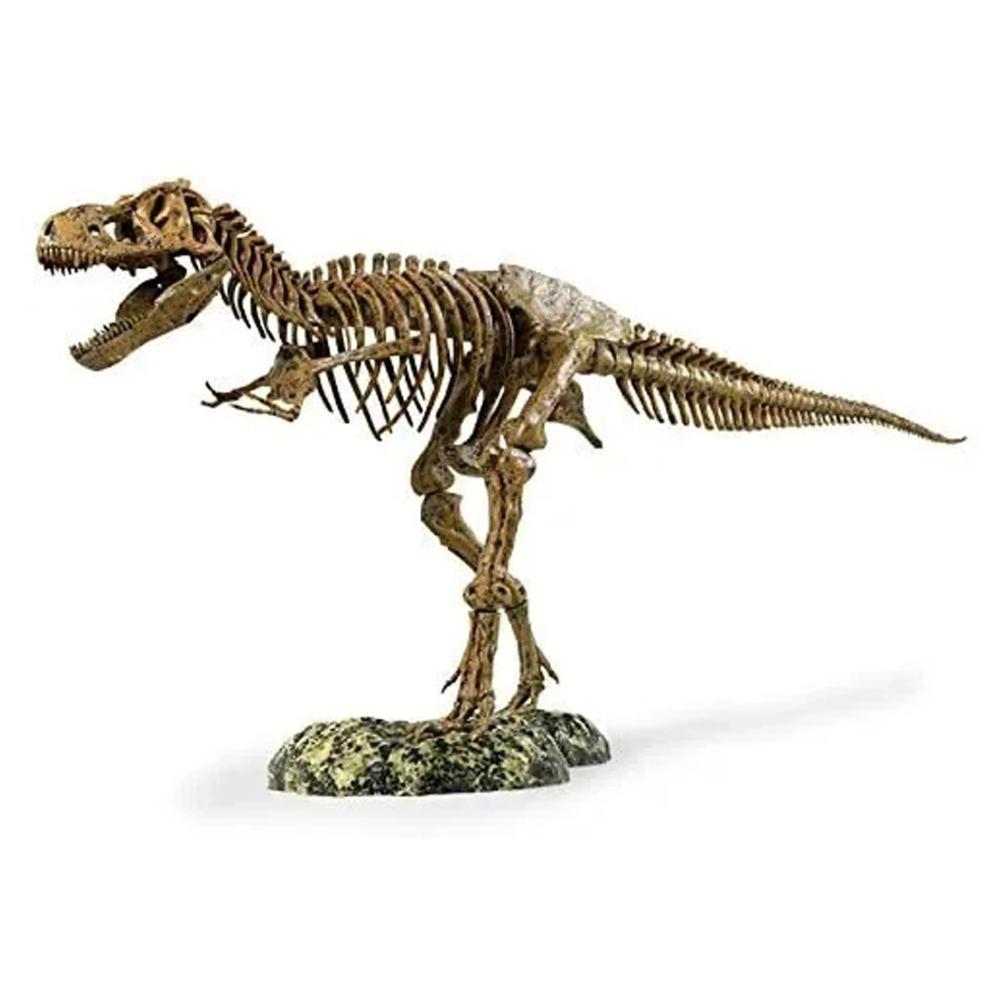 Dinosaur T Rex Skeleton