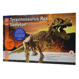 Dinosaur T Rex Skeleton