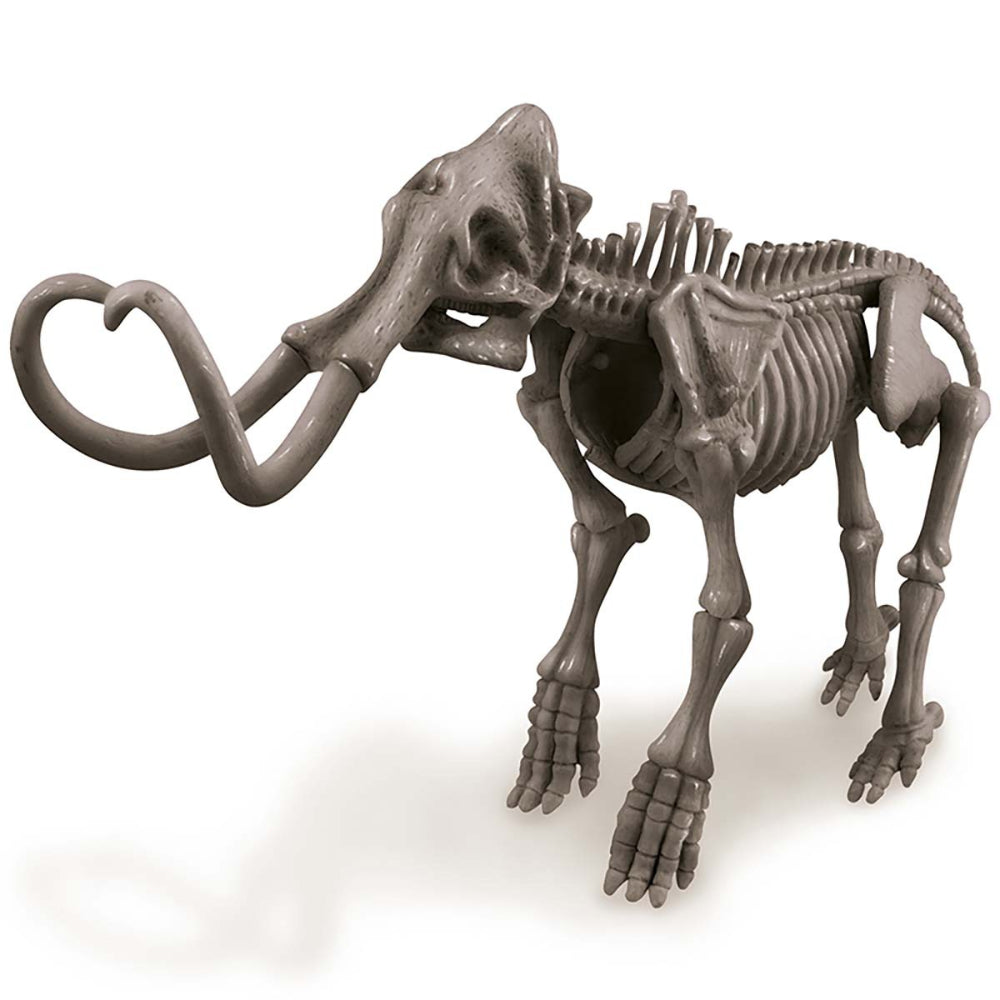 4M KidzLabs  Dig A Dinosaur Skeleton Mammoth
