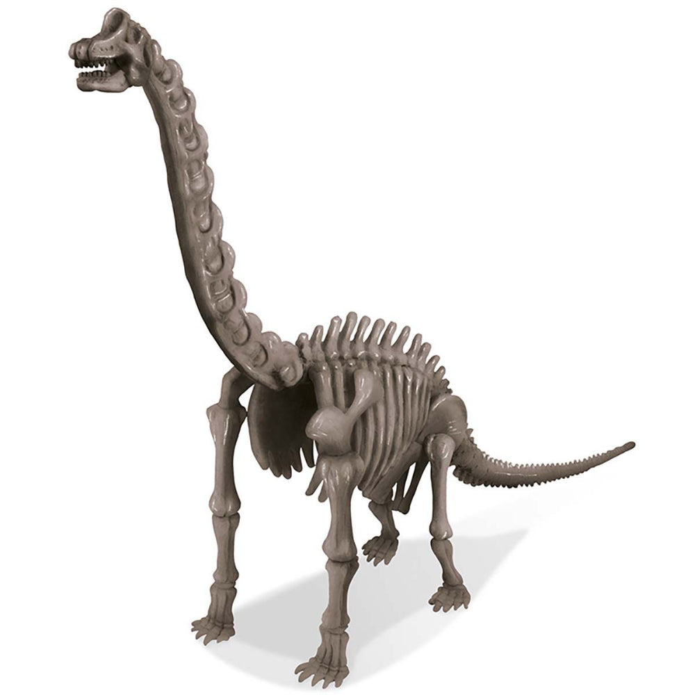 4M KidzLabs Dig A Dinosaur Skeleton Brachiosaurus