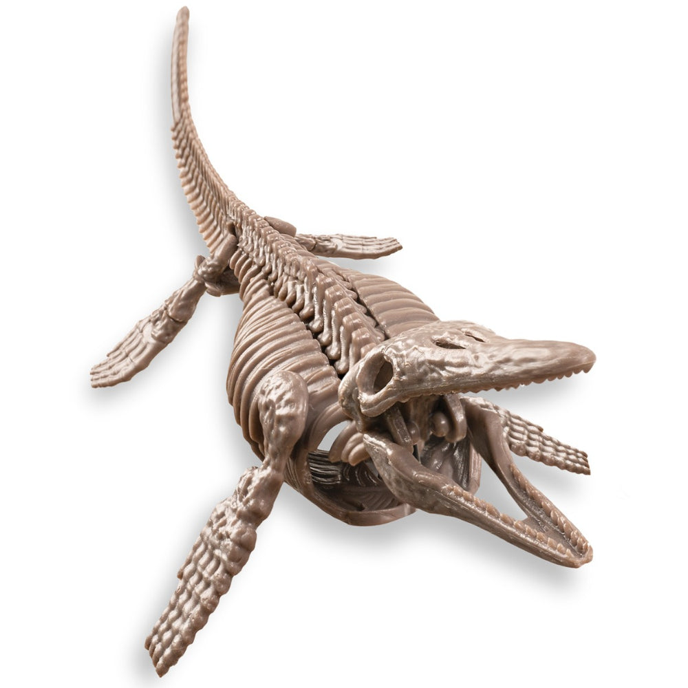 4M KidzLabs Dig A Mosasaurus Skeleton