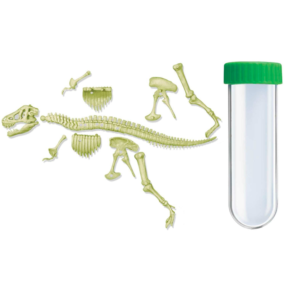 4M KidzLabs Glow TRex Skeleton
