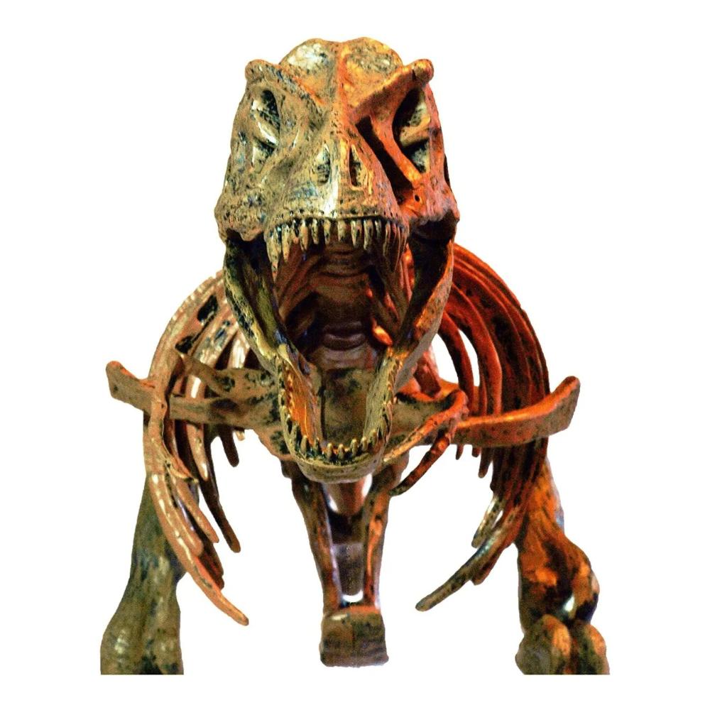 Dinosaur T Rex Skeleton