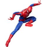 Marvel Legends Series The Amazing Spider-Man 6-Inch Action Figure