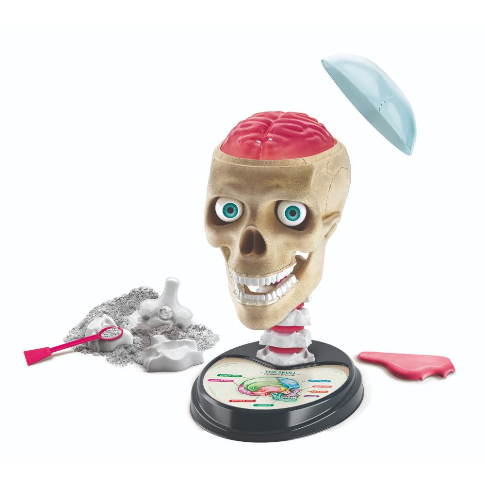 Clementoni Crazy Anatomy Clementoni Crazy Anatomy
