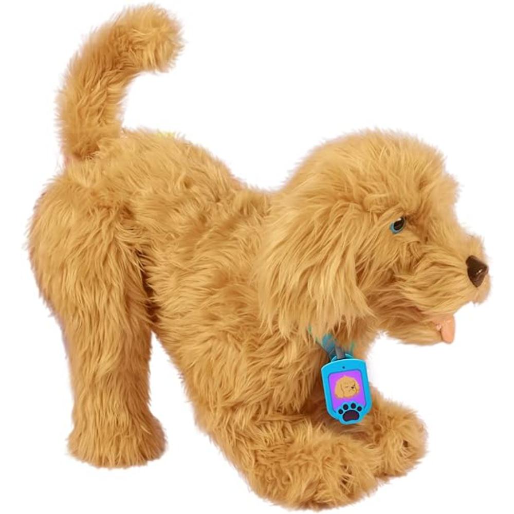 Moji Lovable Labradoodle