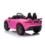 Ray Fun Jaguar Licensed