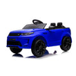 Ray Fun Land Rover Discovery High