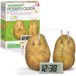 4M Green Science Potato Clock