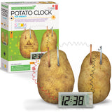 4M Green Science Potato Clock