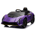 Rayfun Lamborghini License (Purple)