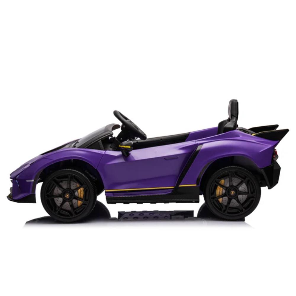 Rayfun Lamborghini License (Purple)