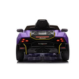 Rayfun Lamborghini License (Purple)