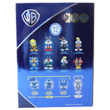 Warner Brothers Mashup Mini Figures