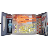 Spice Box Human Body