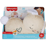 Fisher-Price® Soothe & Settle Bunny™