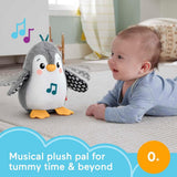 Fisher-Price® Flap & Wobble Penguin