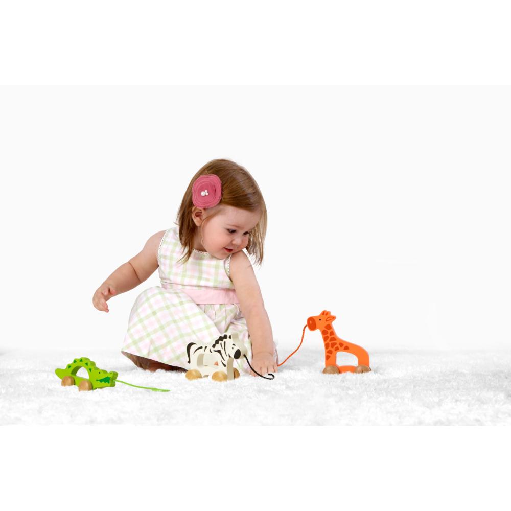 Hape Giraffe Push and Pull Along Wooden Toy Hape Giraffe Push and Pull Along Wooden Toy