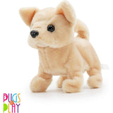 Pugs At Play Chilli The Chihuahua Dog Walking