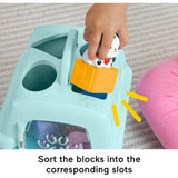 Fisher-Price FP Pets Sort & Stow Pet Carrie