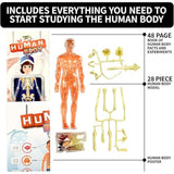 Spice Box Human Body