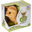 Pugs At Play Chilli The Chihuahua Dog Walking