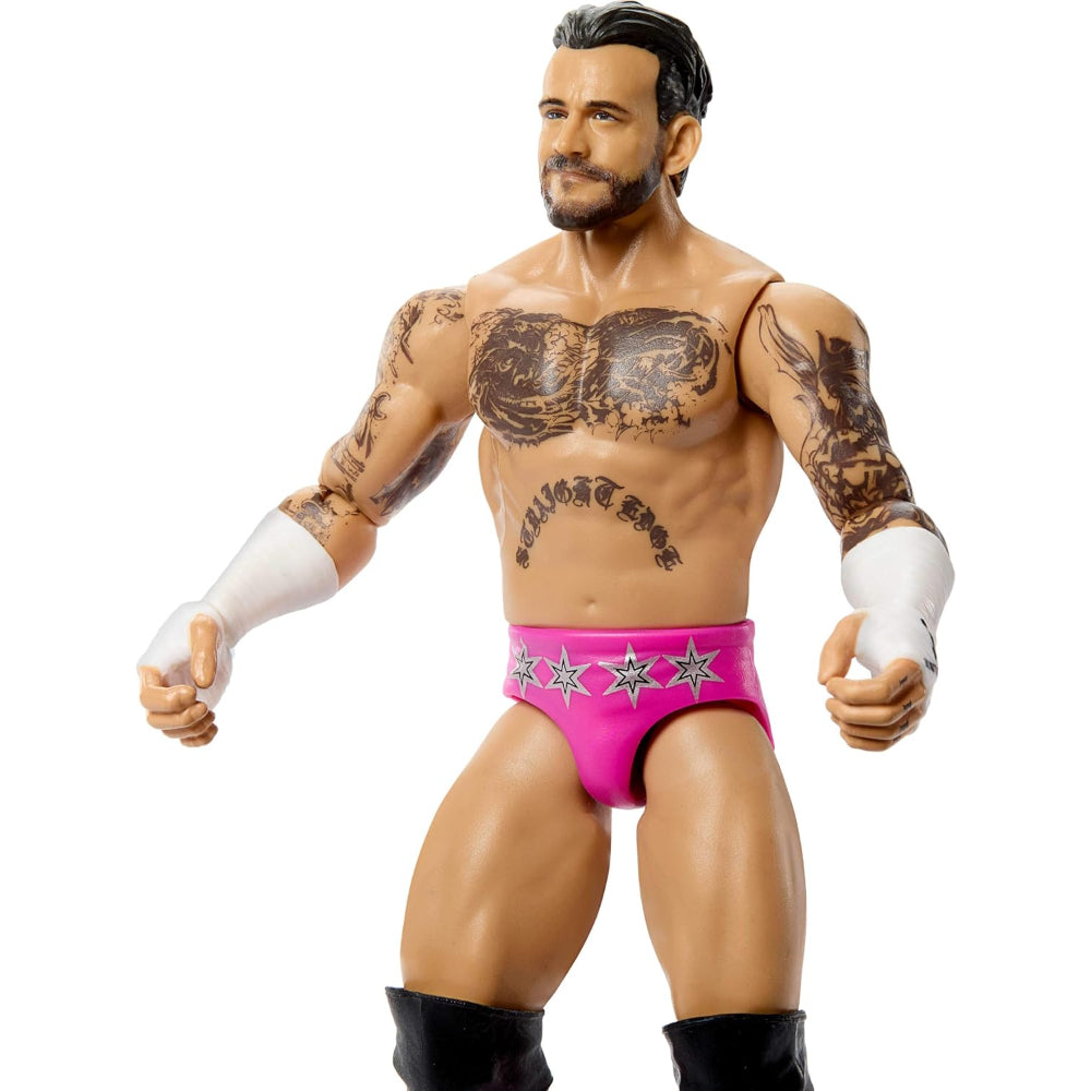 WWE Core CM Punk
