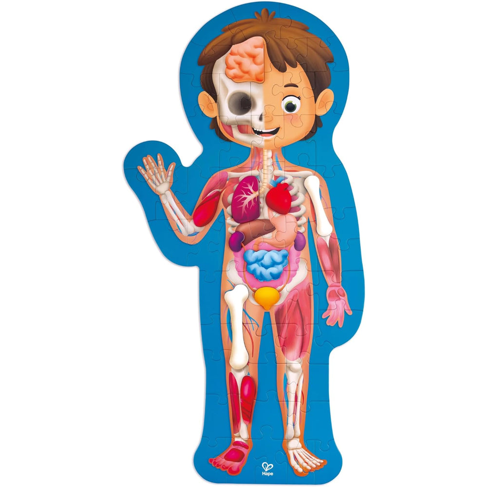 Hape Human Body Puzzle