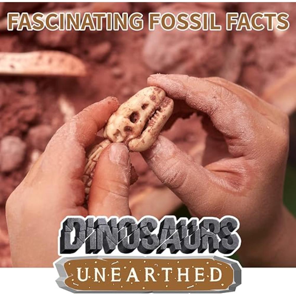 Spice Box Dinosaurs Unearthed