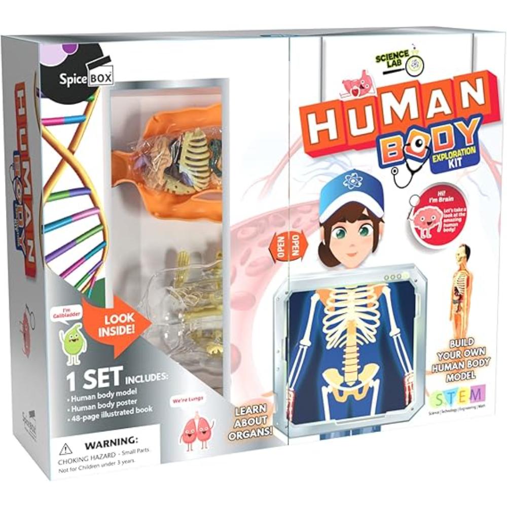 Spice Box Human Body – Toys4me
