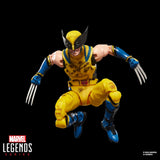Marvel Legends Series Wolverine Collectible 6-Inch Action Figure