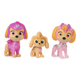 Paw Patrol Paw Patrol Figure Pack
