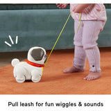 Fisher-Price Fp Pets Walk-The-Pup Pug