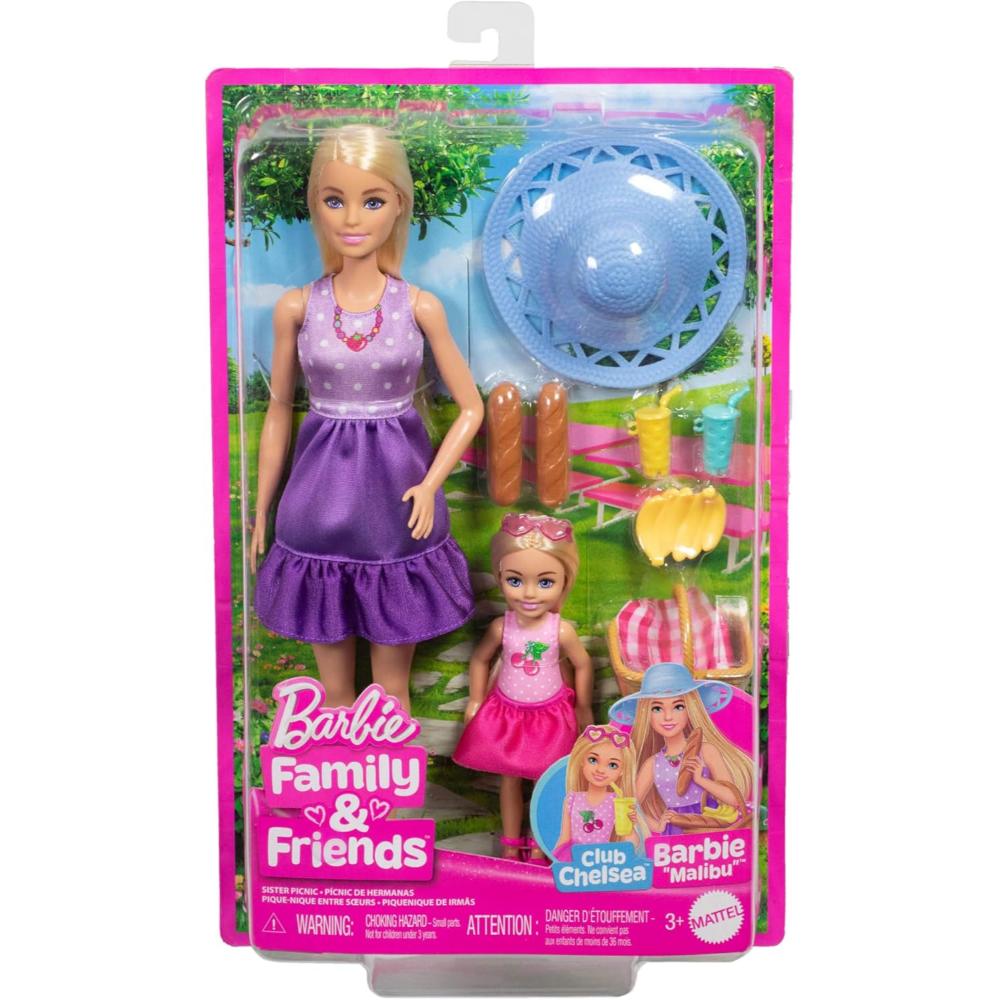 Barbie Family & Friends Dolls & Accessories Playset