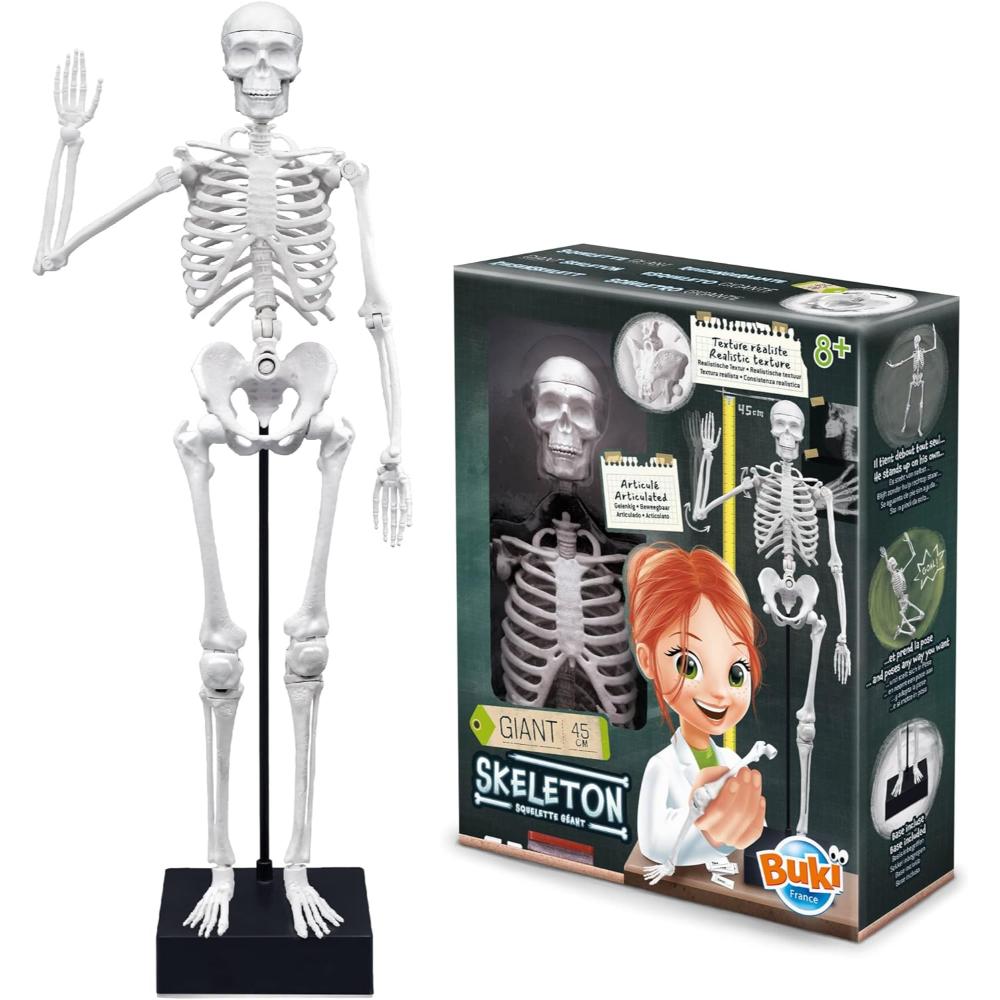 Buki Skeleton 45 cm Buki Skeleton 45 cm
