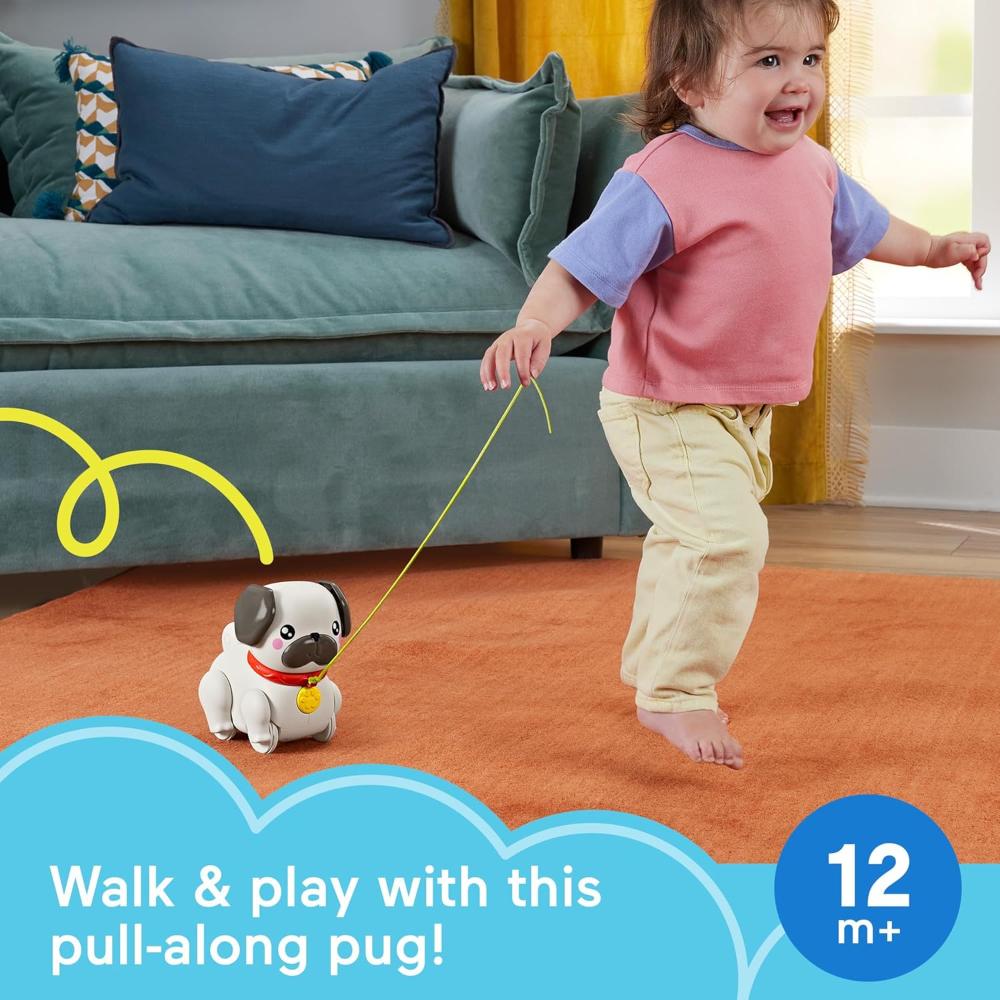 Fisher-Price Fp Pets Walk-The-Pup Pug