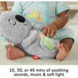 Fisher-Price Soothe 'n Snuggle Koala