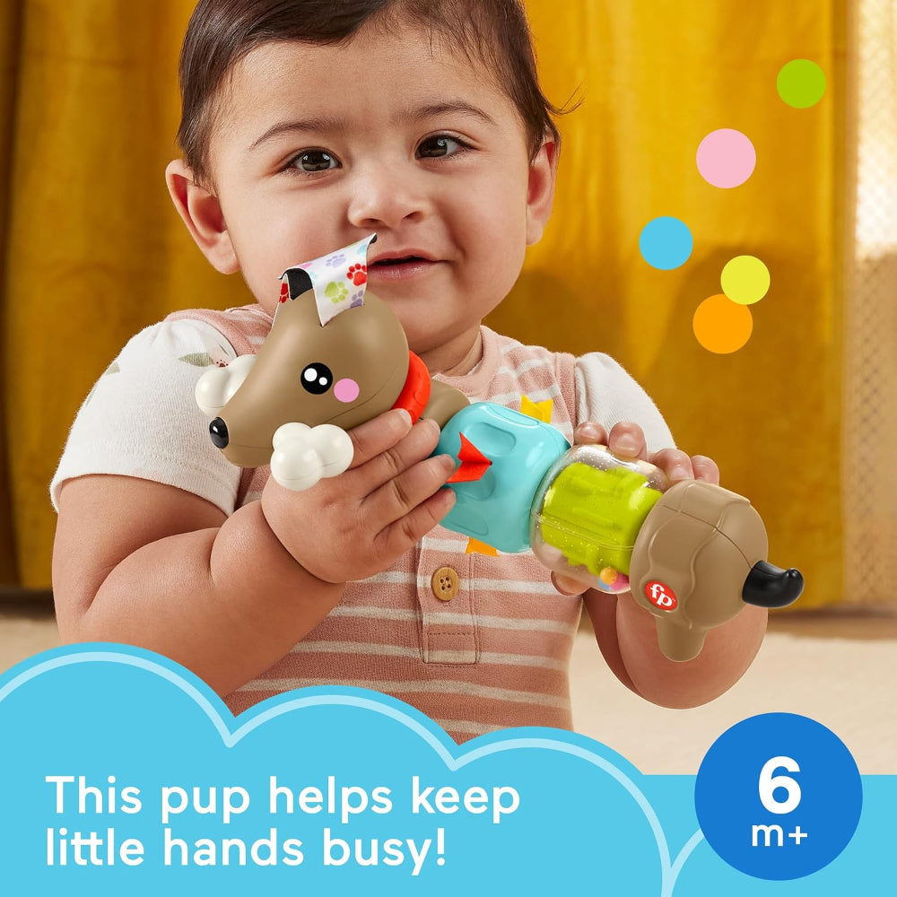 Fisher-Price Baby Sensory Toy FP Pets Click & Spin Activity Pupd