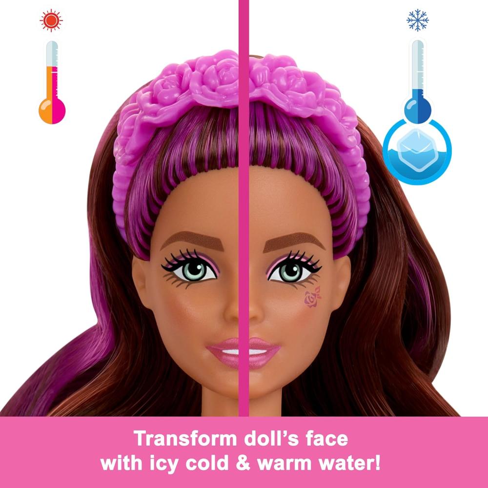 Barbie Color Reveal Doll Ballerina Series Barbie Color Reveal Doll Ballerina Series