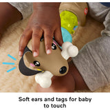 Fisher-Price Baby Sensory Toy FP Pets Click & Spin Activity Pupd