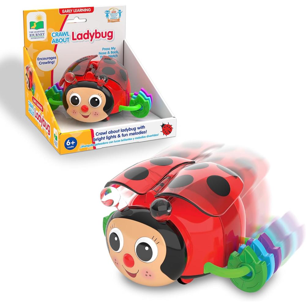 The Learning Journey Crawl About Ladybug